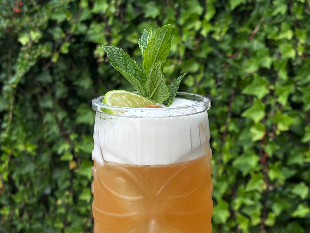 Spiced Plum Rum Punch