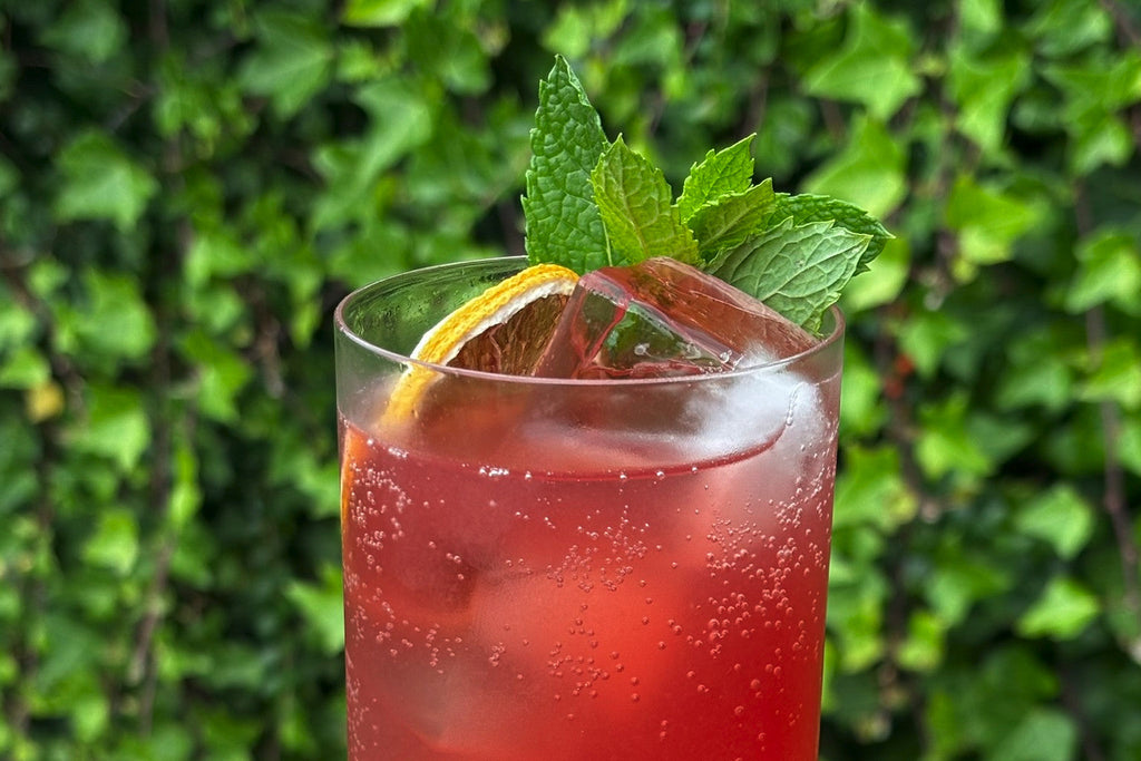 Sloe & Elderflower Lemonade