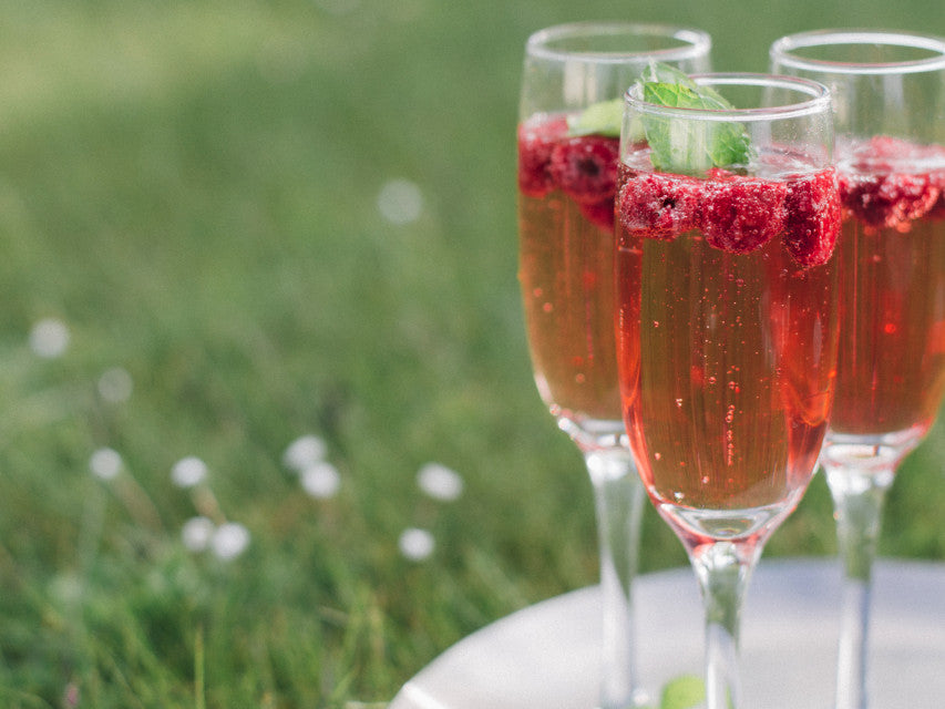 Raspberry Fizz Gin Bothy