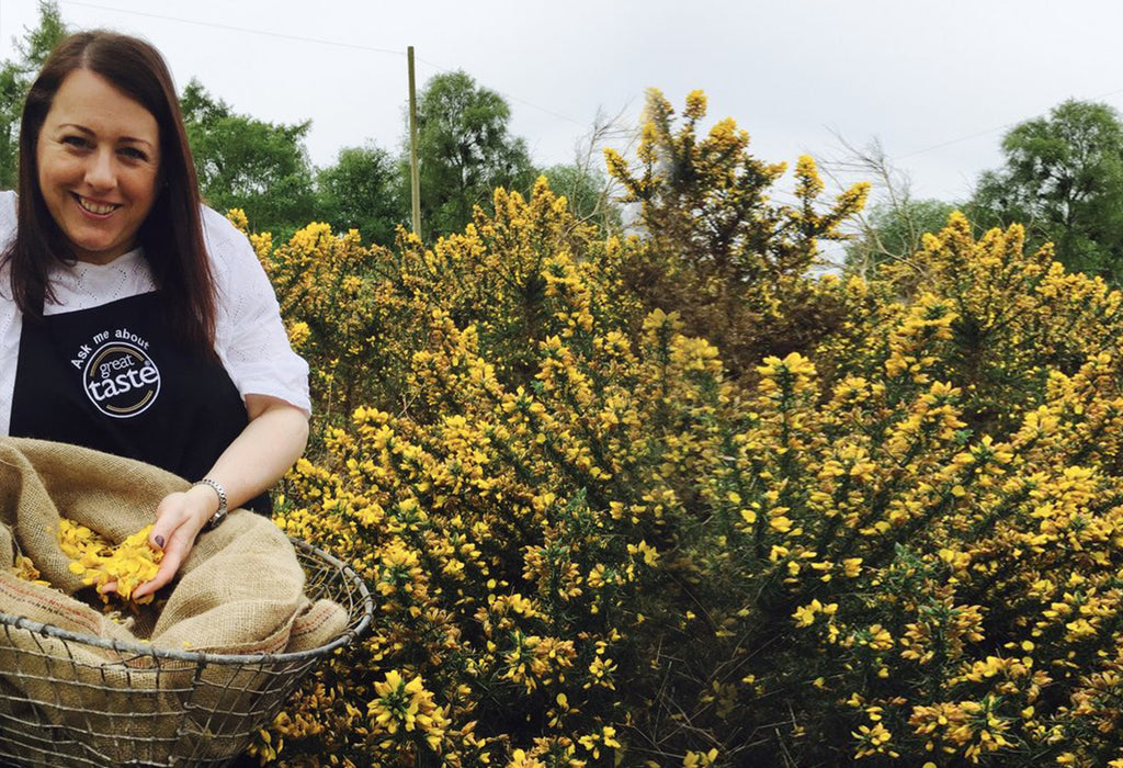 Gorse Gathering with Gin Bothy, a new flavour in mind!