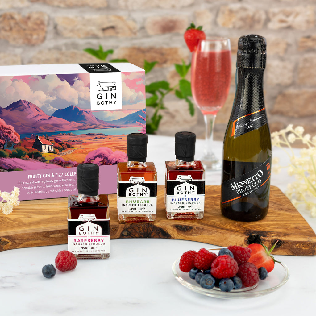 Gin Bothy - Fruit & Fizz Gift Box